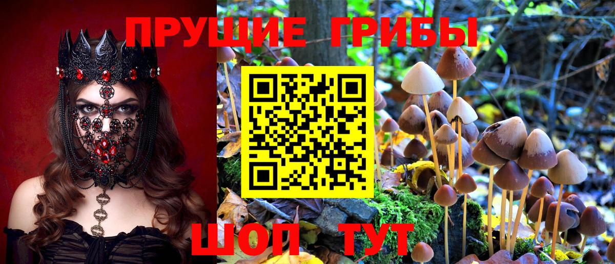 Галлюциногенные грибы MAGIC MUSHROOMS Фурманов